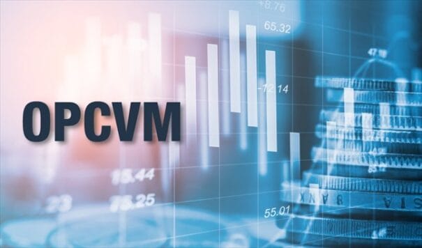 Investissement dans l'assurance mauricienne