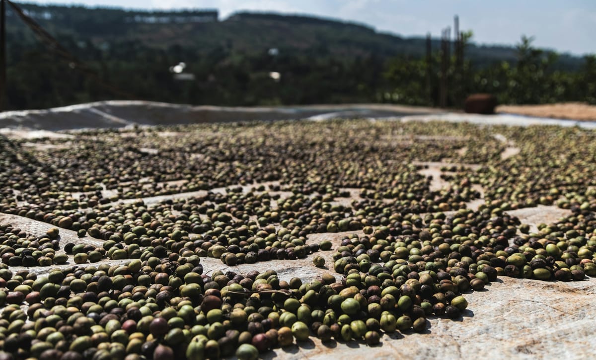 Plateforme de Micro-Assurances Agricoles Personnalisées